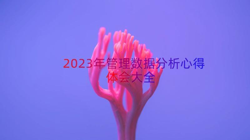 2023年管理数据分析心得体会大全（16篇）