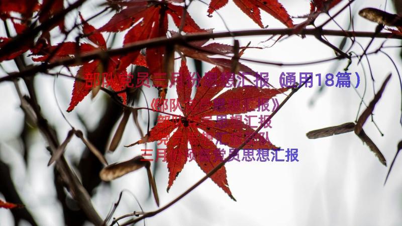 部队党员三月份思想汇报（通用18篇）