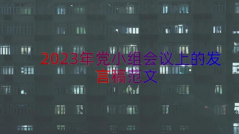 2023年党小组会议上的发言稿范文（16篇）