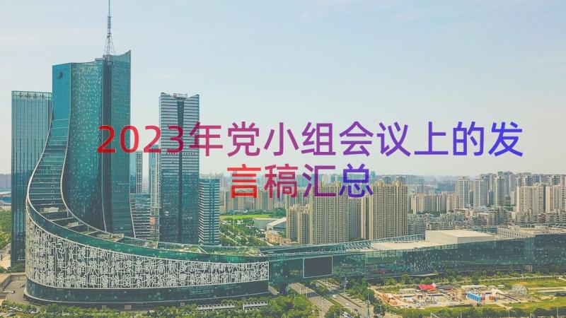 2023年党小组会议上的发言稿（汇总16篇）