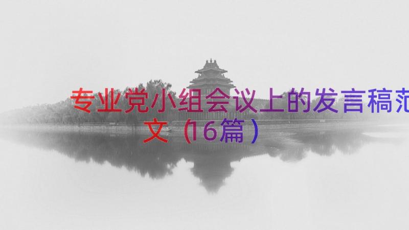 专业党小组会议上的发言稿范文（16篇）