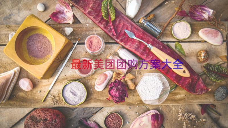 最新美团团购方案大全（17篇）