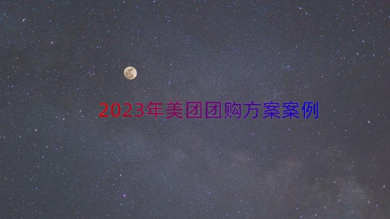 2023年美团团购方案（案例15篇）