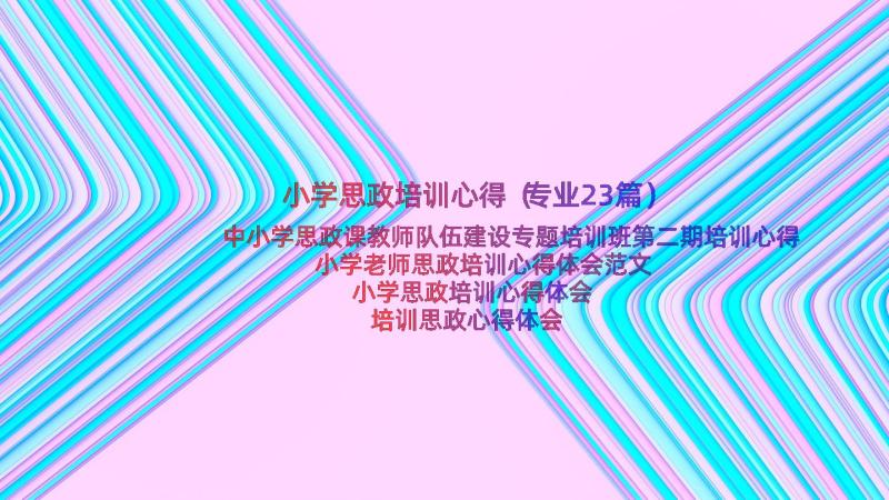 小学思政培训心得（专业23篇）