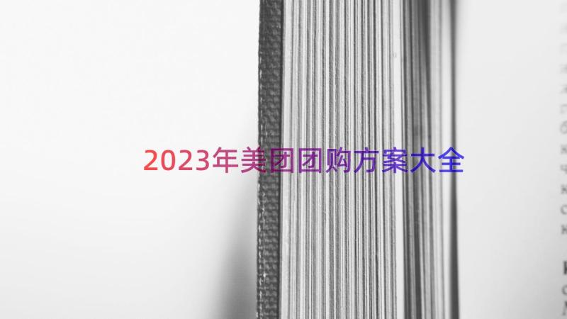 2023年美团团购方案大全（17篇）