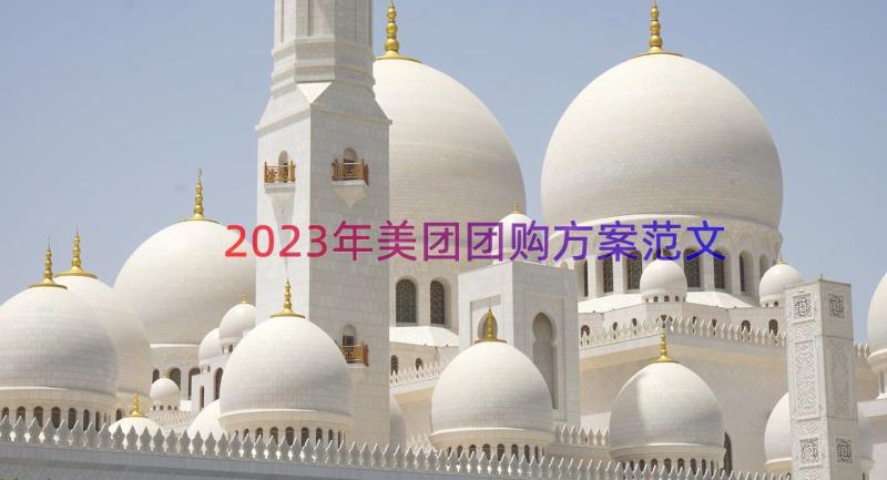 2023年美团团购方案范文（12篇）