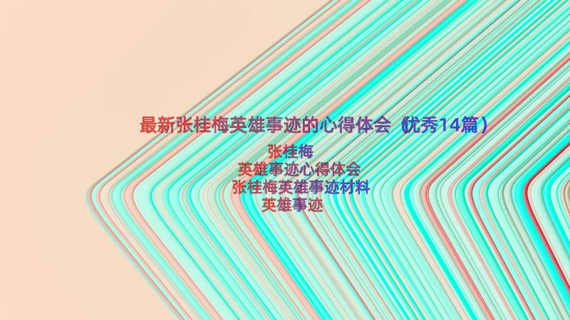 最新张桂梅英雄事迹的心得体会（优秀14篇）