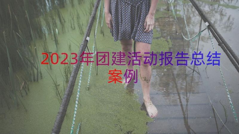 2023年团建活动报告总结（案例15篇）