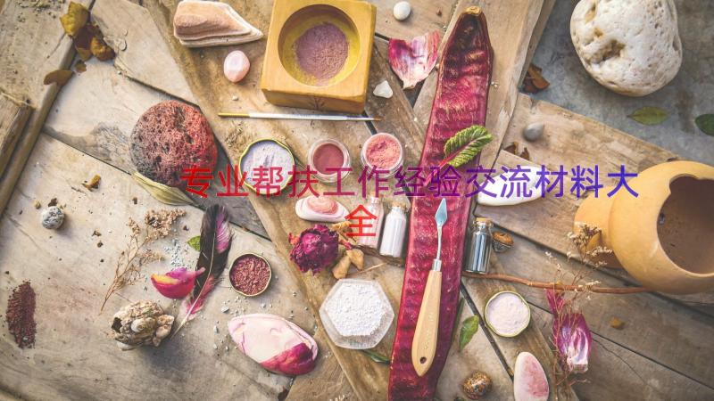 专业帮扶工作经验交流材料大全（16篇）