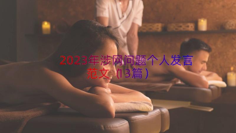 2023年涉网问题个人发言范文（13篇）