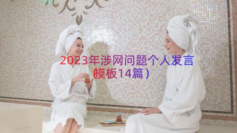 2023年涉网问题个人发言（模板14篇）