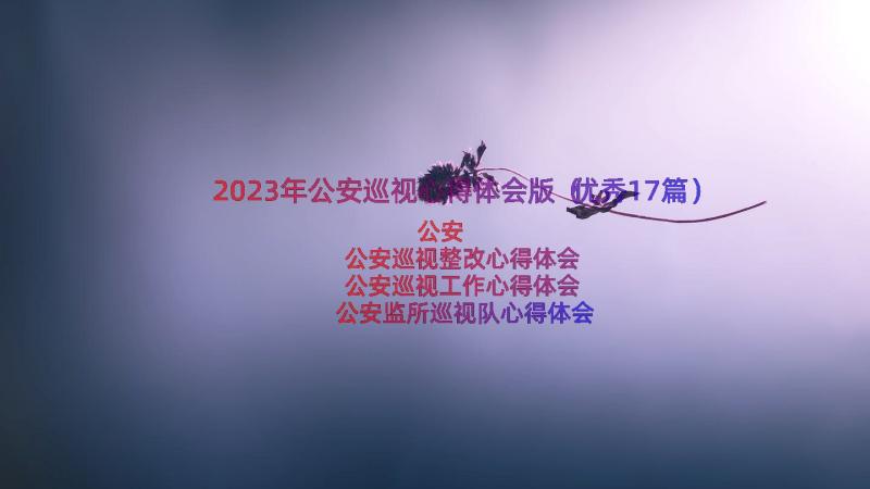 2023年公安巡视心得体会版（优秀17篇）