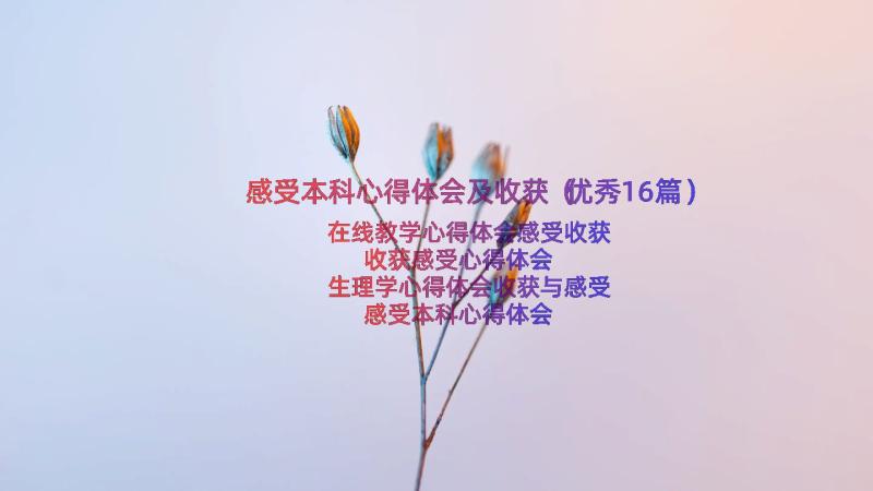 感受本科心得体会及收获（优秀16篇）