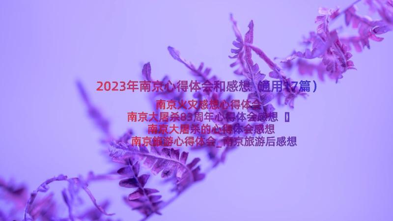 2023年南京心得体会和感想（通用17篇）