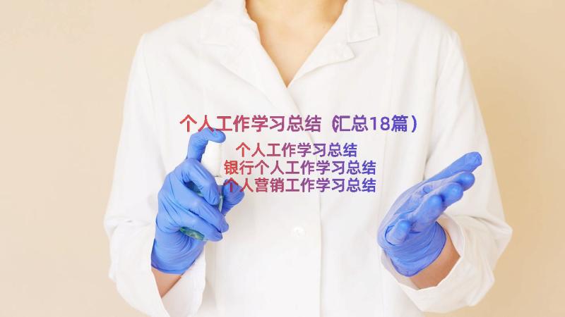 个人工作学习总结（汇总18篇）