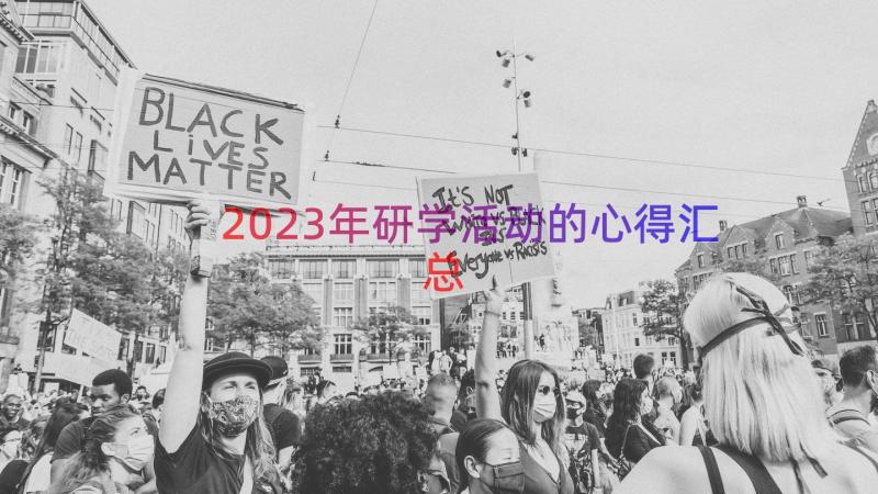 2023年研学活动的心得（汇总13篇）