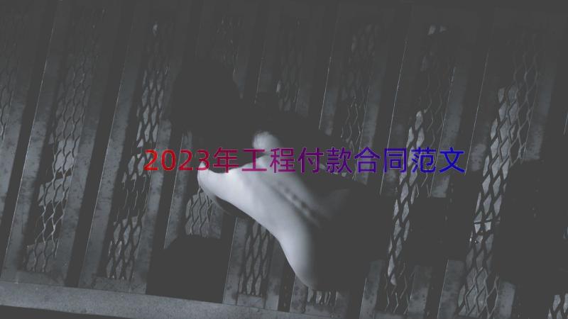 2023年工程付款合同范文（13篇）