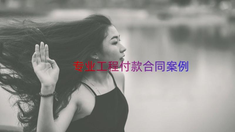 专业工程付款合同（案例17篇）