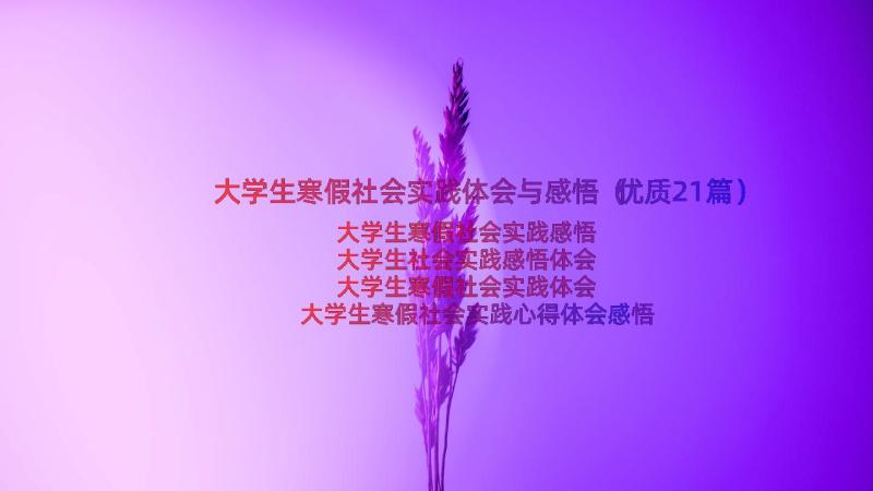 大学生寒假社会实践体会与感悟（优质21篇）