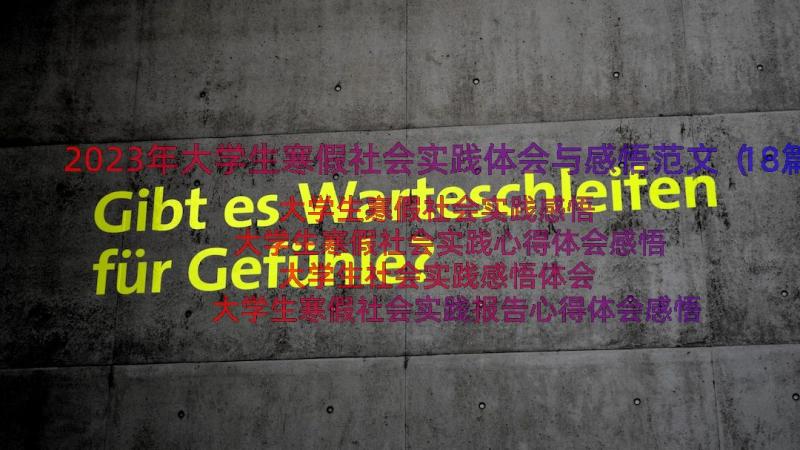 2023年大学生寒假社会实践体会与感悟范文（18篇）