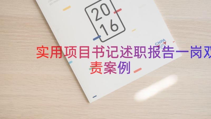 实用项目书记述职报告一岗双责（案例18篇）