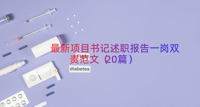 最新项目书记述职报告一岗双责范文（20篇）