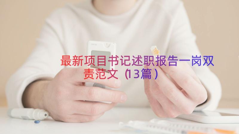 最新项目书记述职报告一岗双责范文（13篇）