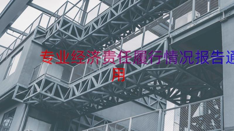 专业经济责任履行情况报告（通用17篇）