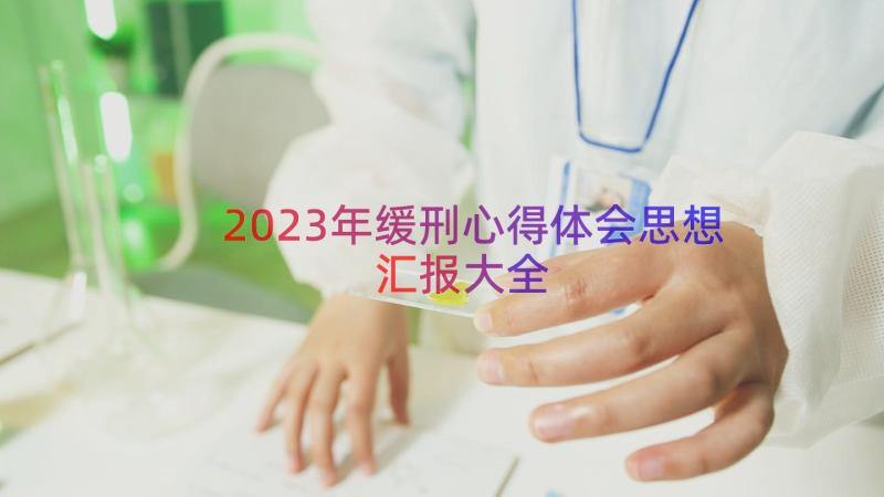 2023年缓刑心得体会思想汇报大全（15篇）