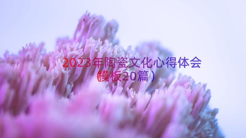 2023年陶瓷文化心得体会（模板20篇）