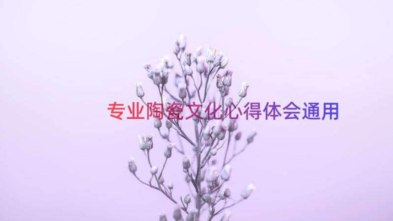 专业陶瓷文化心得体会（通用15篇）