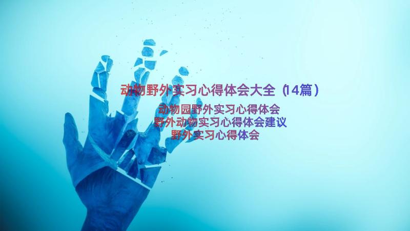 动物野外实习心得体会大全（14篇）