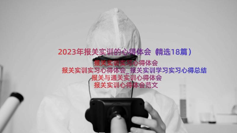 2023年报关实训的心得体会（精选18篇）