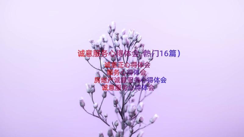 诚意服务心得体会（热门16篇）