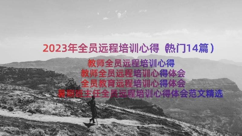 2023年全员远程培训心得（热门14篇）