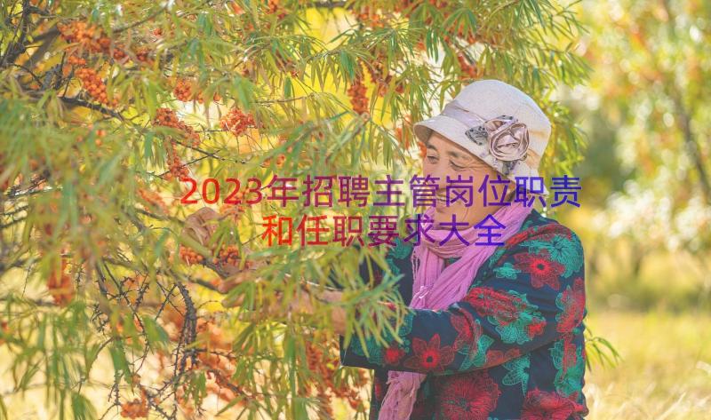 2023年招聘主管岗位职责和任职要求大全（14篇）