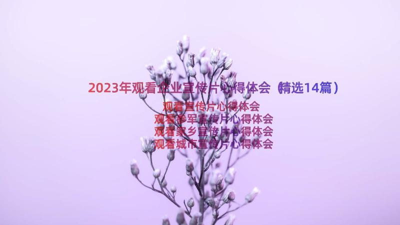 2023年观看企业宣传片心得体会（精选14篇）