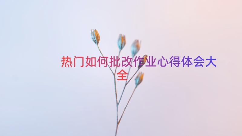 热门如何批改作业心得体会大全（16篇）