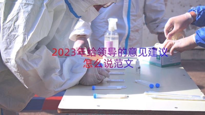 2023年给领导的意见建议怎么说范文（19篇）