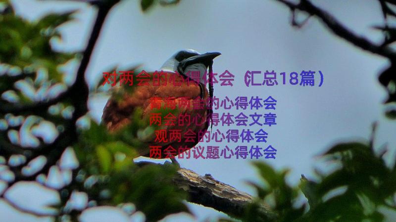 对两会的心得体会（汇总18篇）