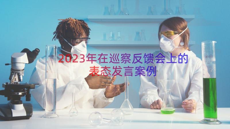 2023年在巡察反馈会上的表态发言（案例13篇）