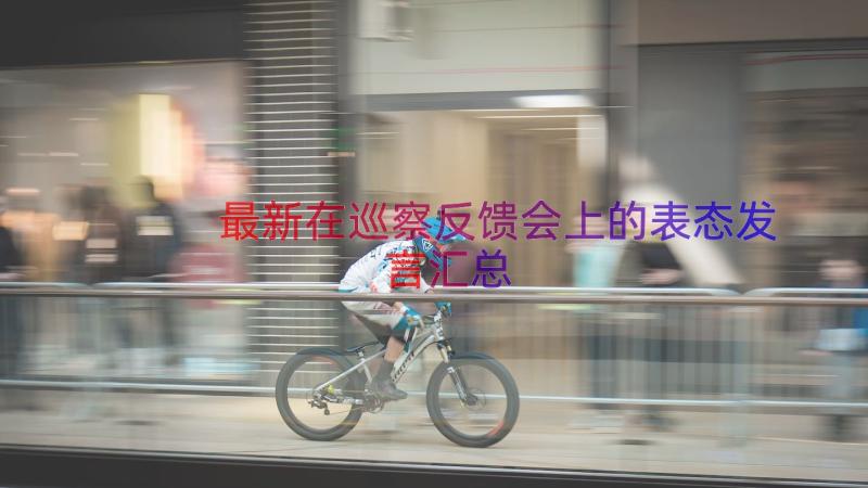 最新在巡察反馈会上的表态发言（汇总17篇）