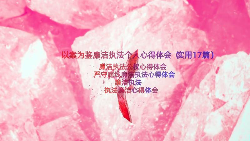 以案为鉴廉洁执法个人心得体会（实用17篇）