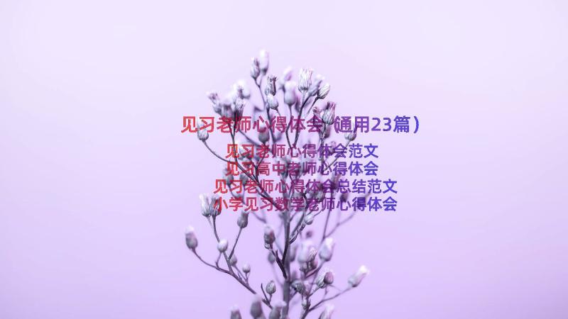 见习老师心得体会（通用23篇）