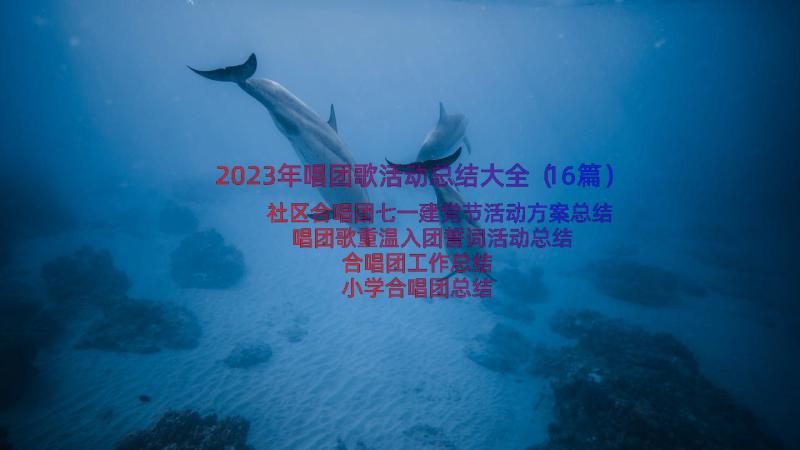 2023年唱团歌活动总结大全（16篇）