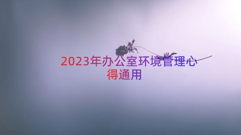 2023年办公室环境管理心得（通用16篇）