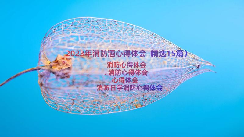 2023年消防酒心得体会（精选15篇）