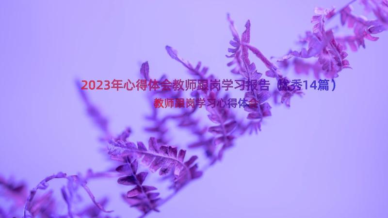 2023年心得体会教师跟岗学习报告（优秀14篇）