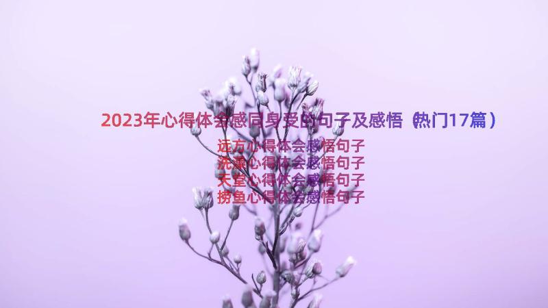 2023年心得体会感同身受的句子及感悟（热门17篇）