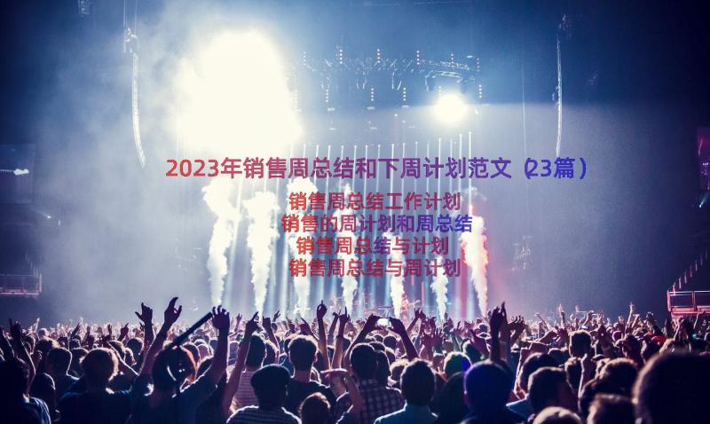 2023年销售周总结和下周计划范文（23篇）